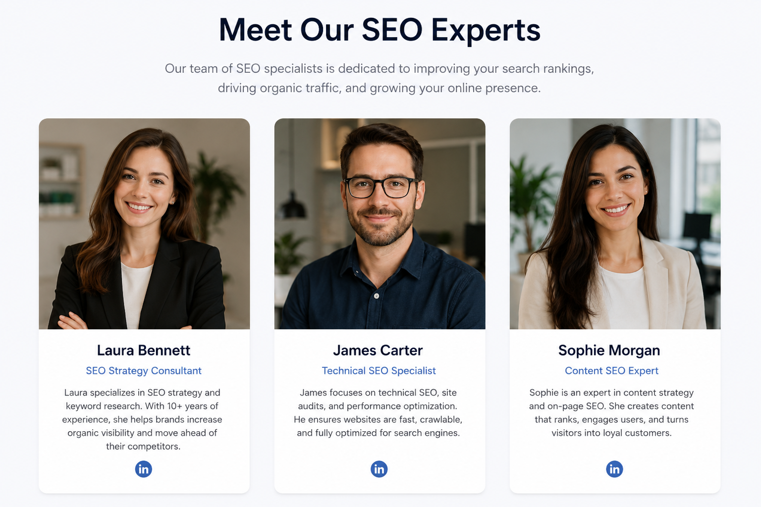 expert seo2